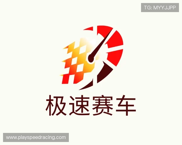 解读极速赛车公司